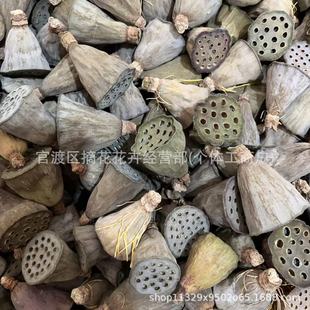 Сɏ��ɻ� ��Ȼ��ɏ���^���l ����ɏ��Ҿ��b���diyˇ�g�廨