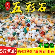 鱼缸底砂造景沙装饰摆件套餐石头子雨花石铺底彩石子鱼缸底部跻聚