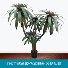 WA҃b쾰پGֲָܛzֲ٘͏dԔ[