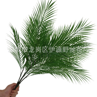 �Gɫֲ���F���~������F���~�̈��͏d���ȼ�ֲ���쾰�҃��b�