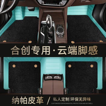 Type Hechuang Foot Pad 007 Ayaqaltılar (Kovriklər) - double-tiffany-blue-black-nano-fleece-carpet