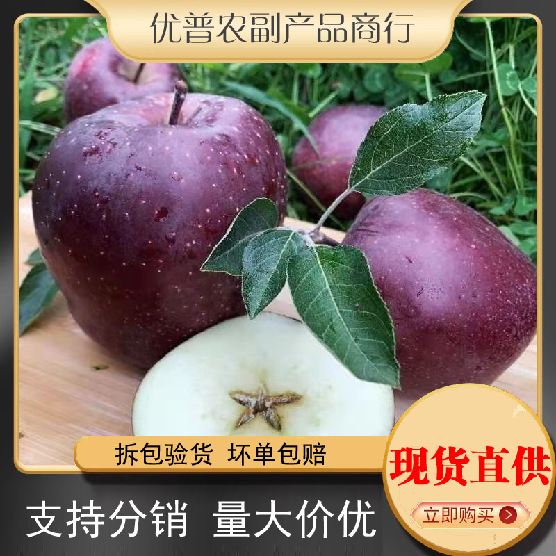 [Strictly Selected] Gansu Black Card Apple Rock Candy Crispy Sweet Black Apple Seasonal Black Diamond Fuji Apple Fresh Fruit