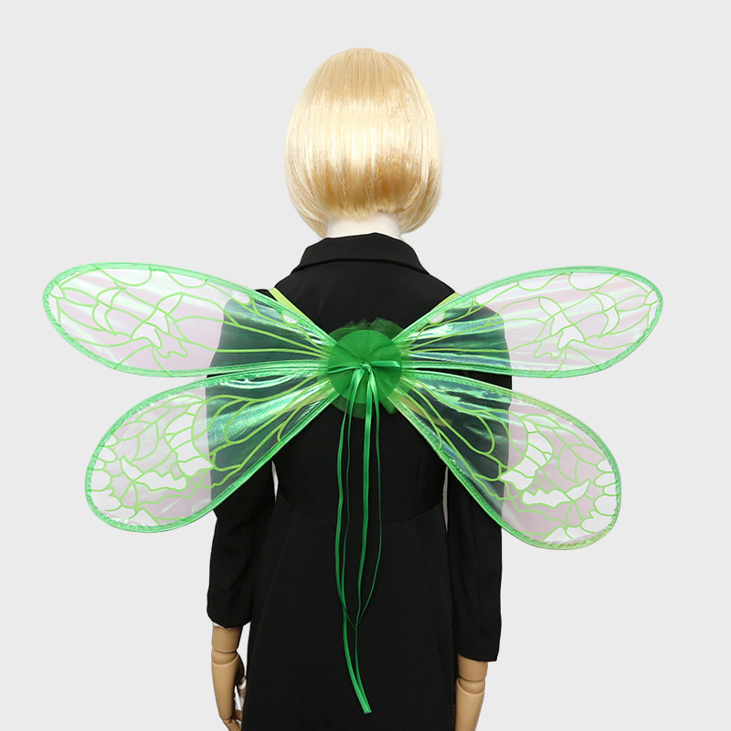 蜻蜓翅膀 (13).jpg