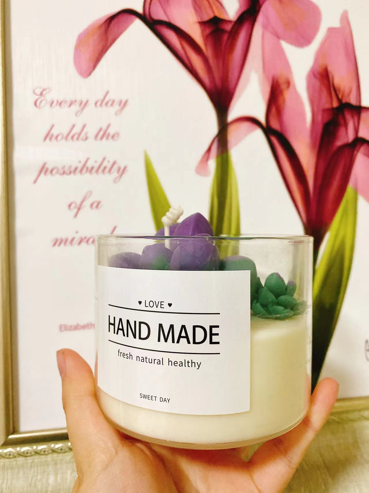 Suculentas cactus colección aromaterapia vela decoración de interior regalo cumpleaños