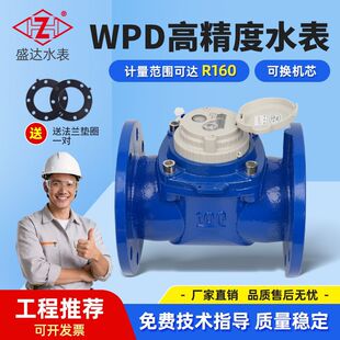ʢ�_�߾���R160ˮƽ����ʽˮ��WPD-50~200 ��ڏ����I�h��ˮ��