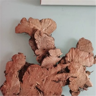 ���w��500g�� ��Ʒ���] Ұ�w���� �_���i ���w�^ ������ ��ș��