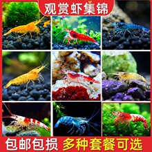 �ښ��r�����r��ˮ�r���^�p�r�坍�~�ͻ���B�Ꭷ�^�p�~����ˮ���r