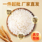 鱼台大米粳米500克批发零售1斤珍珠米当季新米农家自产一件代发