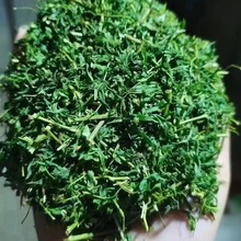 广西相思藤茶 甜鸡骨草茶新货产地货源批发中药材