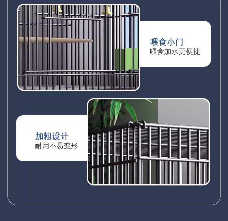 2bfa1cd0-e332-4a9e-9fd1-1381f79b316a.jpe