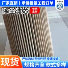 耐高温粉尘过滤器吸尘器工业扫地机除尘滤芯覆膜防静电阻燃滤筒