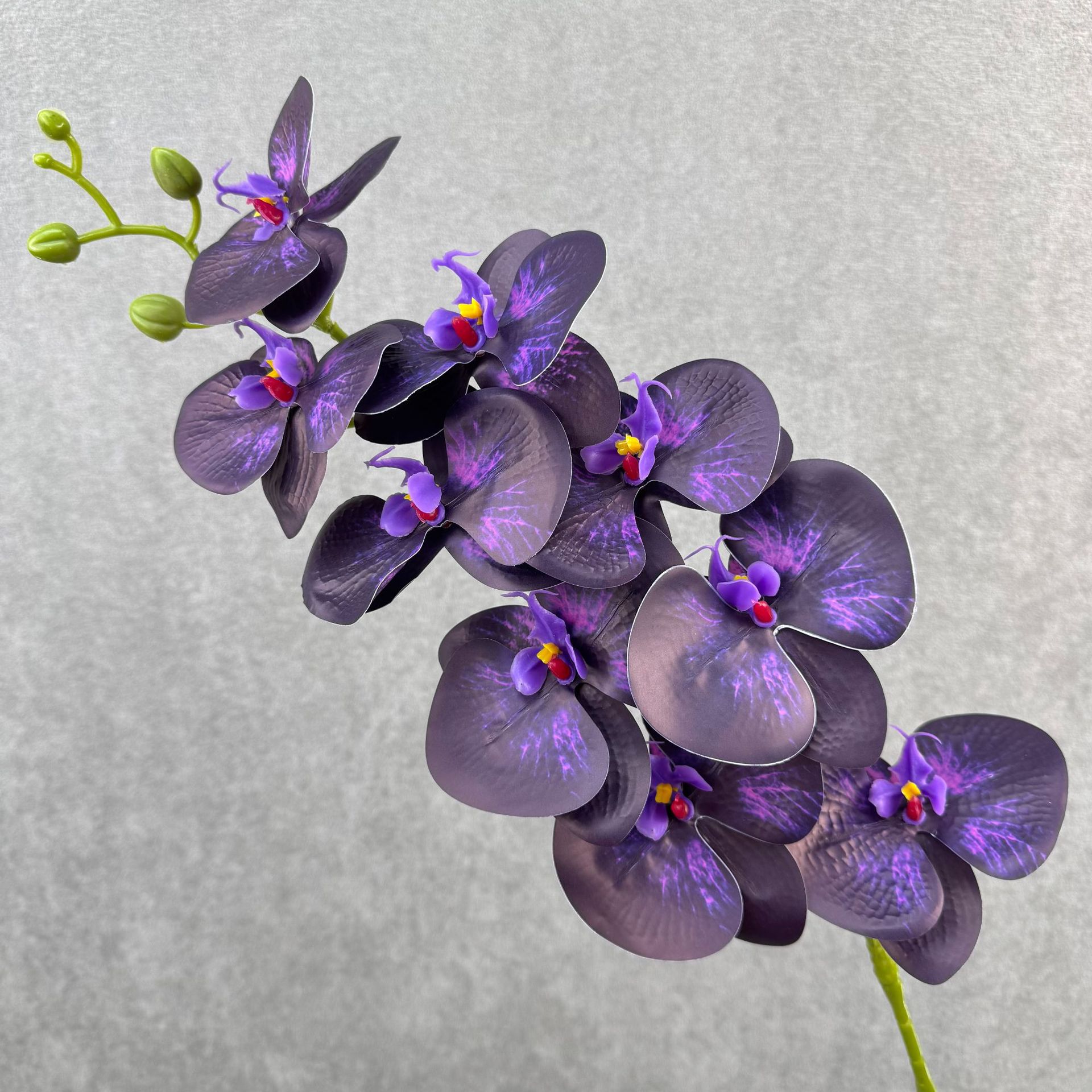 Dark purple