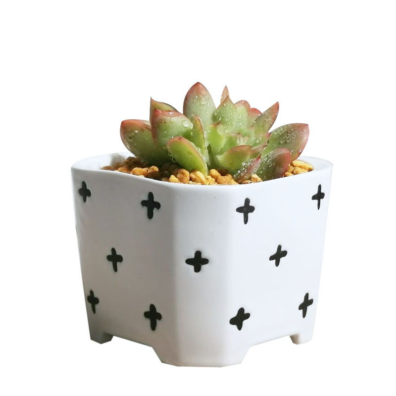Fantu Manufacturers Self-produced And Sold Japanese-style Simple Ceramic Succulent Flower Pots Green Plant Pot Containers 029 Models