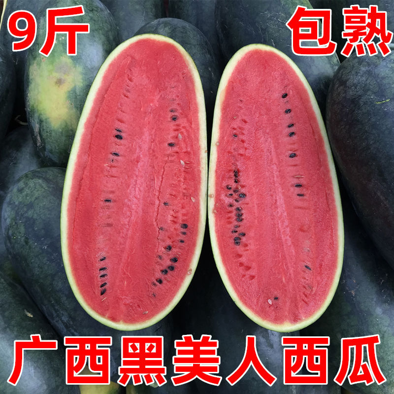 Black Beauty watermelon fresh Thin skin 9 fresh fruit FCL 2