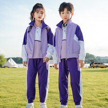 班服小学生校服春秋装三件套运动会潮酷紫色幼儿园老师园服年级服