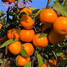 ��Ʒ�NӿȪ�۽ۘ���o���۽�ӿȪ�����؃����쳬����ӹ�����