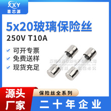 厂家直供 5x20mm玻璃保险丝管 250V T10A 慢断型熔断器电源保护器