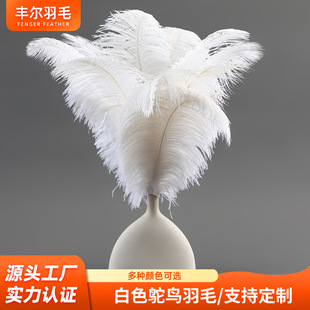 ���s�L���|���U�r�Bë15-60cm��ɫ��ë���ֹ�DIY�ӼҔ[���廨���l