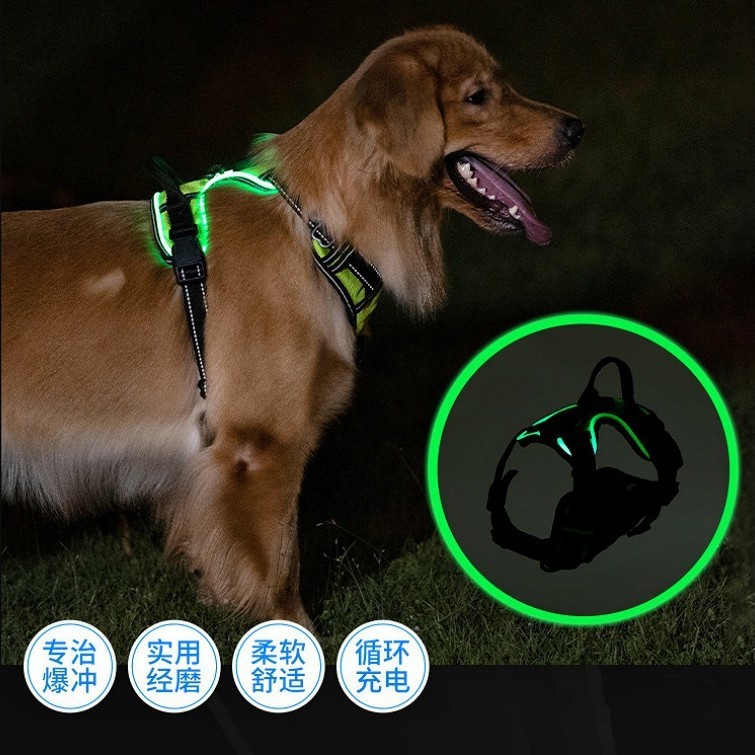 犬用LED光ファイバー発光ハーネスリード、ラブラドール、小型犬、ゴールデンレトリバー、大型犬、ペット犬用|undefined