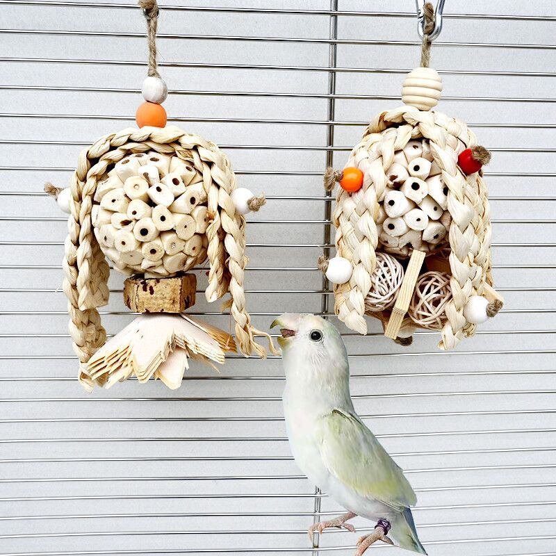 QQ图片20250605214354