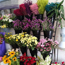 �����r��չʾ�ܶ����A�ݻ��ܔ[�����f��݆�Fˇ�����B��Ͱ���ϻ�Ͳ