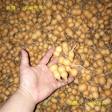 Ұ����Ȼ��������С���J�Π�����F��������[��������J�]��覴�