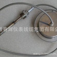 不锈钢压力式温度计WTZ-280,WTQ-280
