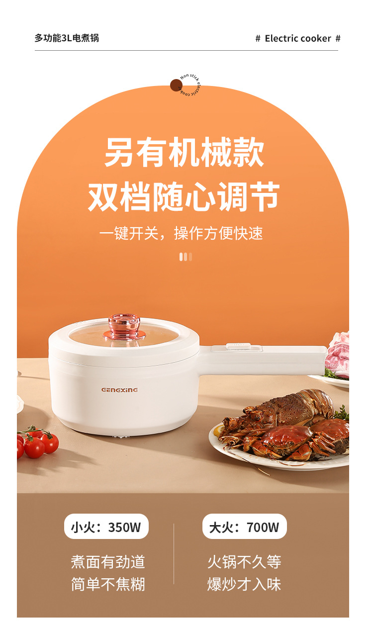 丽昌电煮锅_17.jpg?x-oss-process=image/format,png