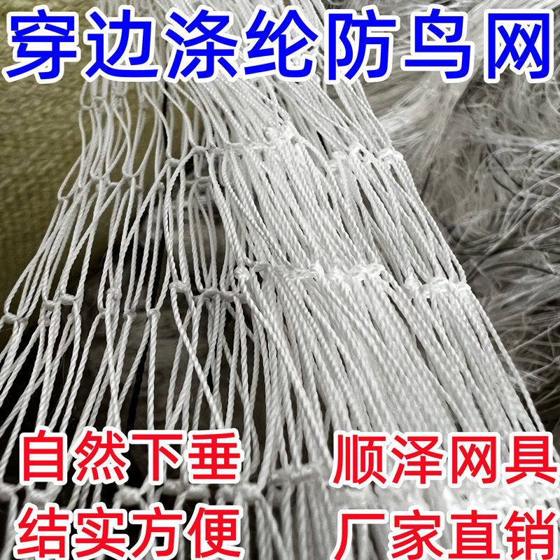 高强涤纶防鸟网果园鱼塘防鸟网尼龙复丝葡萄网寿命更长养殖网农业