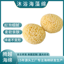 多孔沐浴海绵手掌型珊瑚海藻绵清洁厂家直供支持多规格国标认证