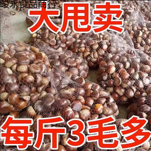 ���r����5�����r�r�ҬFժ������ë�����������w������