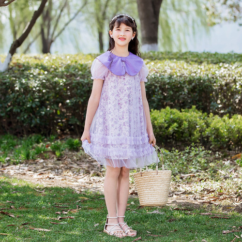 Girls Dress 2024 Summer New Korean Children's Dress Super Fairy Mesh Princess Dress Girls Dress Middle and Large Children Wholesale