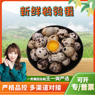 �����x���������g���� ���l50ö���r�r���g���������oʳ�����u��