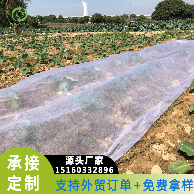 防寒无纺布覆盖草坪无纺布农用无纺布育秧育苗无纺布