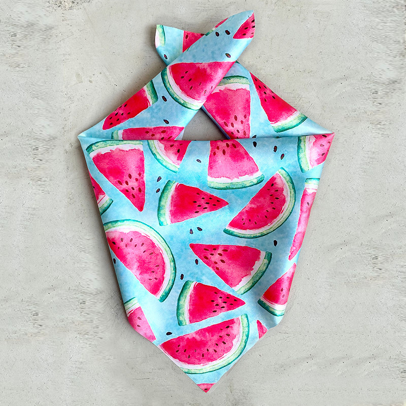 Cute Satin Cloth Avocado Watermelon Pet Scarf display picture 5
