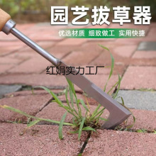 ���������B���r�òݹ��߰β����@ˇ������Ұ���¿��zͥԺ�h������