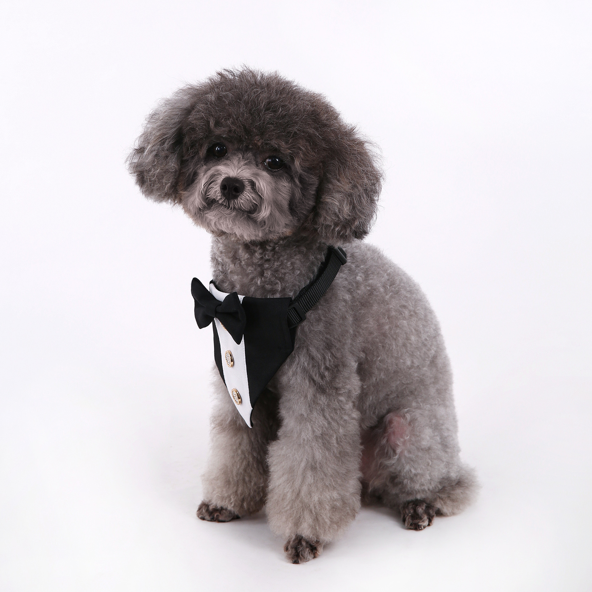 Perro toallas perro toallas de saliva perro gran corbata bufandas trajes toallas al por mayor