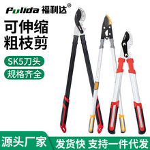 ��֦������֦��������֦�@ˇ���������֦�����޼�@�ּ��L��֦��