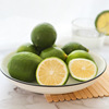 Hainan Seedless lemon Perfume lemon Green Lemon fresh fruit Tea shop wholesale support One piece On behalf of