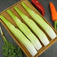 ��������ģ�ͼ�ˮ���߲˔[�����z�̹S���S�zӰ�����߲�չʾ����