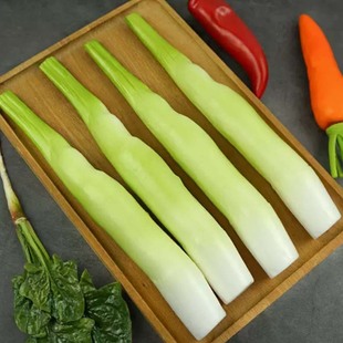 ��������ģ�ͼ�ˮ���߲˔[�����z�̹S���S�zӰ�����߲�չʾ����