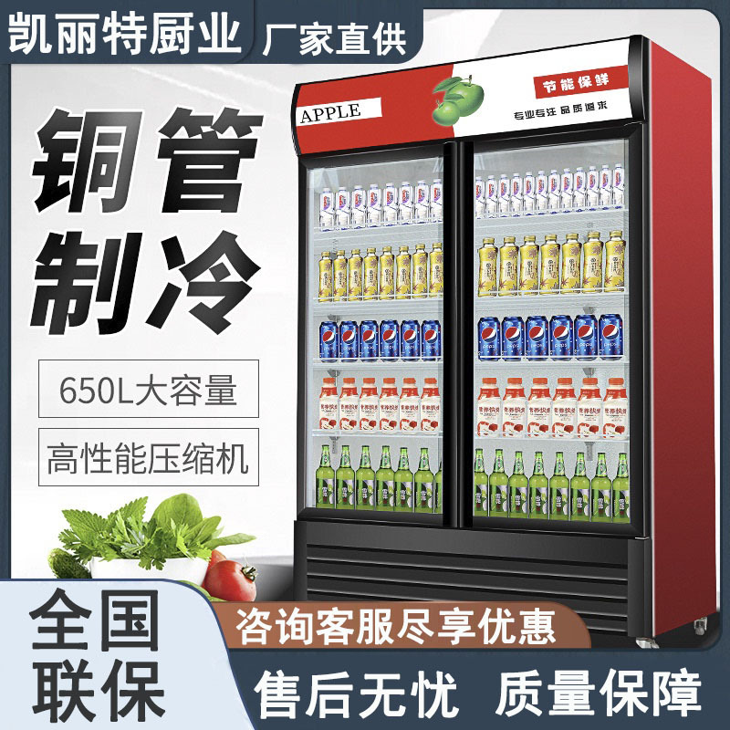饮料展示柜啤酒柜商用冷藏冰柜双开门冷饮柜单门冷藏立式保鲜柜
