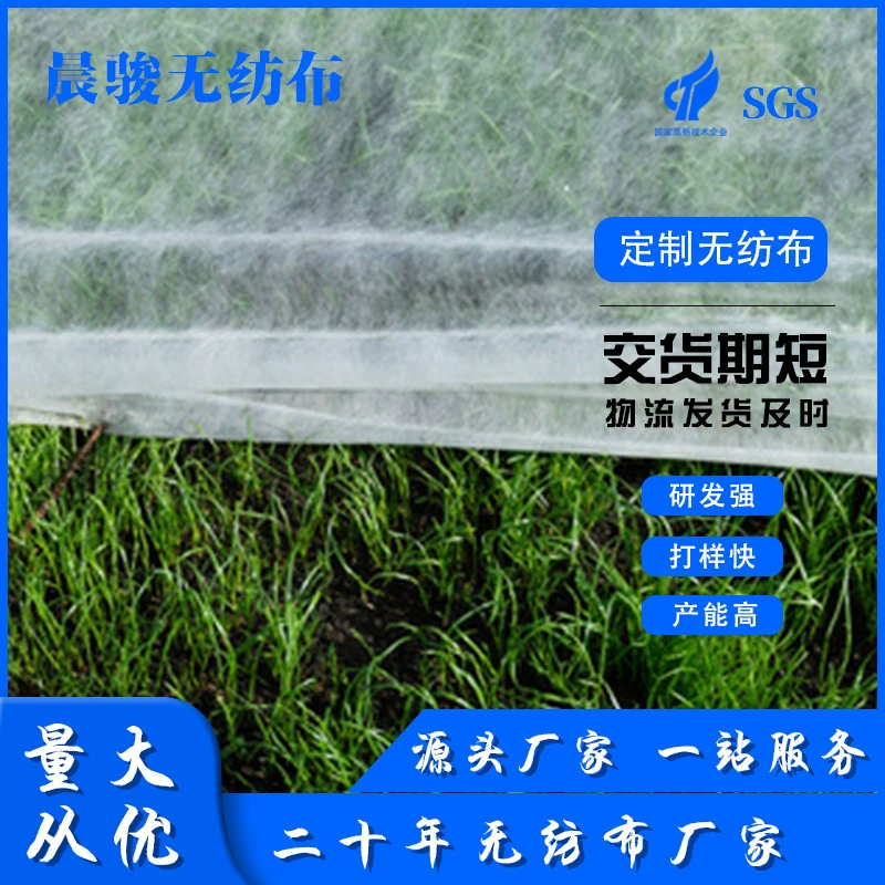 Оптовая продажа, зеленая сельскохозяйственная пылезащитная ткань, семена травы, газон, летний сад, защита наклона, край наклона, озеленение крышки, сетка, нетканая ткань