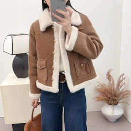 2025秋冬新款复古风水貂绒皮毛一体短外套女韩系设计感保暖上衣