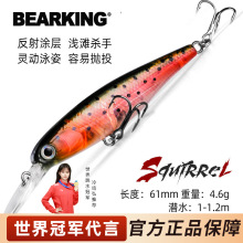 bearking�������D��ˮA11���Z�hͶ��ˮ�|�~�N�캣�61mm4.6g���l