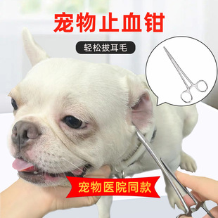 Pet Ear Pulling Pliers Ear Pulling Powder Cat Dog Ear Clip Teddy Bears Ear Meatus Cleaning Hemostatic Pliers