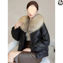 ����Ƥ��Ƥ��q��Ů�d��Ƥ2026�¿���̿�Ƥ�����׽��u��ë�I