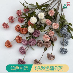 5�^��ɫ�ѹ�Ӣ ��֦�͹Ŵ��� �羳���Q���l�ٻ� �҃��쾰��ꐽ���