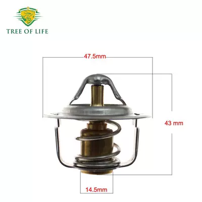 C Engine Thermostat – Thermostat