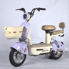 元宇宙pro電気自動車電動新型小型国標自転車成人二輪女性代歩電気自動車